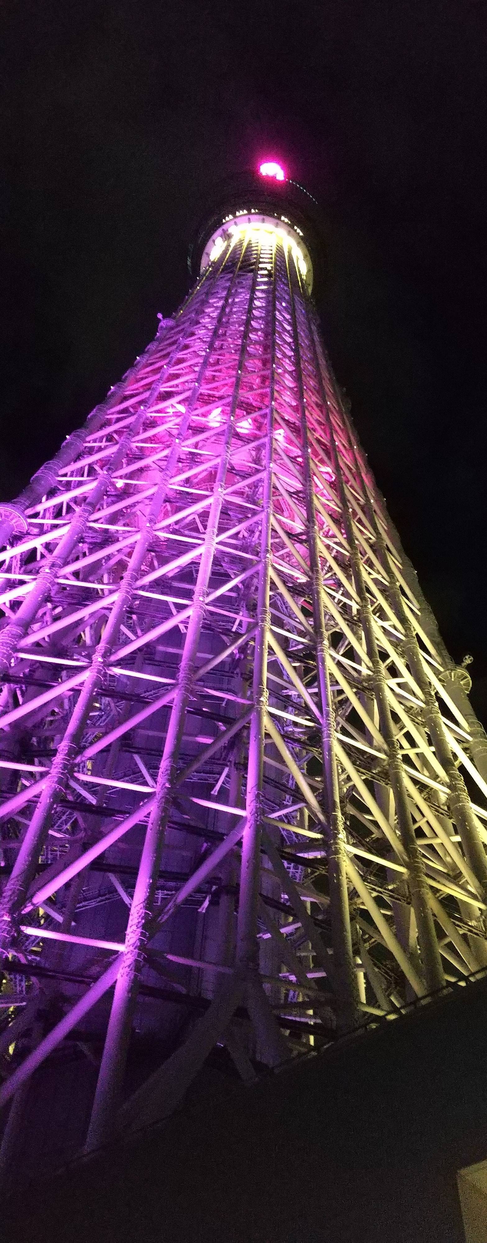 【非えろ】ひな その2 1945057 106 1